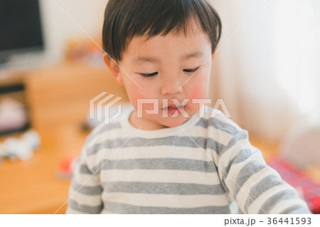 2 years old 36441593