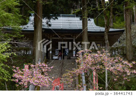 金剛山山頂 金剛山山頂 36441743