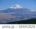 芦ノ湖スカイラインから見た富士山 36441828