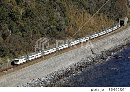 伊豆海岸を走る185系踊り子。2016/1/10 36442364