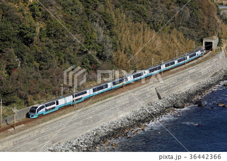 伊豆海岸を走るスーパービュー踊り子。2016/1/10 36442366