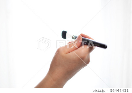 メイクブラシ 36442431