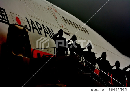 航空自衛隊 36442546