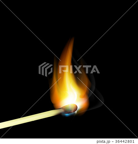 realistic burning match 36442801