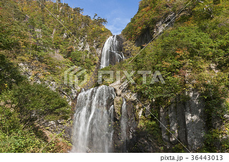 安の滝 安の滝 36443013