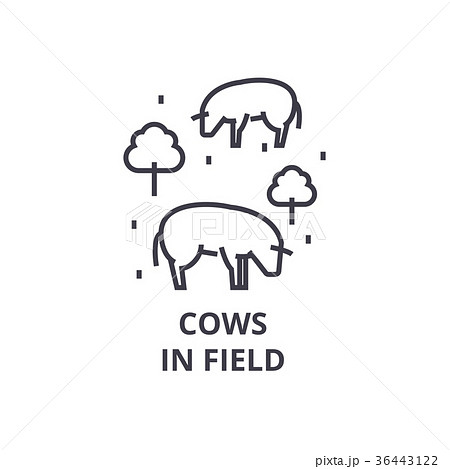 cows in field line icon, outline sign, linear 36443122