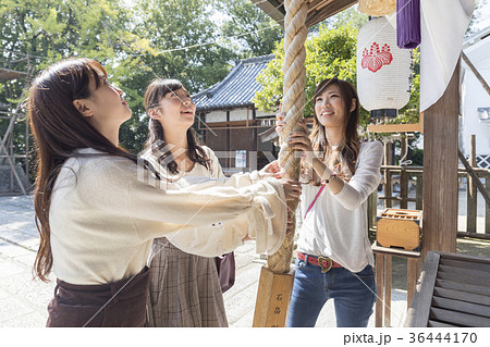 神社へお参りする女性三人組 36444170