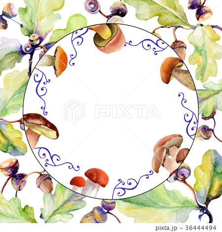Forest acorn frame in a hand drawn watercolor Forest acorn frame in a hand drawn watercolor 36444494