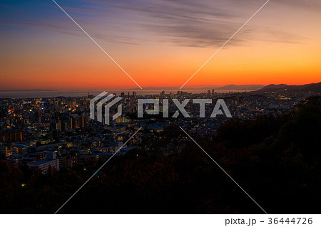 神戸夕景 36444726