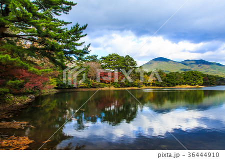 野岳湖の紅葉 長崎県大村市 野岳湖の紅葉 長崎県大村市 36444910
