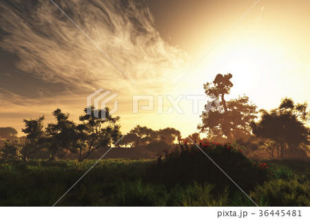 Wonderful Fairy Tale Magical Summer Field 36445481