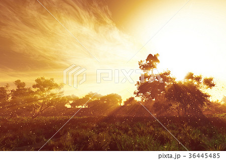 Wonderful Fairy Tale Magical Summer Field 36445485