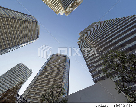 高層マンション 高層マンション 36445747
