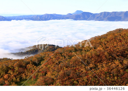 北海道　屈斜路湖の雲海 36446126