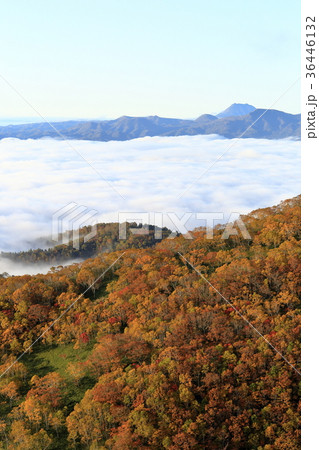 北海道 屈斜路湖の雲海 北海道 屈斜路湖の雲海 36446132