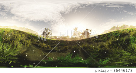 Natural Wonderland Scene with Fireflies VR360 Natural Wonderland Scene with Fireflies VR360 36446178