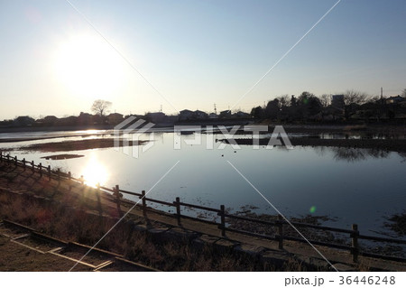 波志江沼の12月 波志江沼の12月 36446248