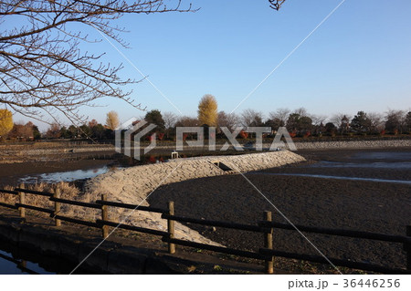 波志江沼の12月 波志江沼の12月 36446256