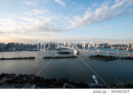 お台場　レインボーブリッジ 36446307