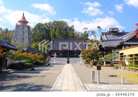 京都 妙満寺 京都 妙満寺 36446370