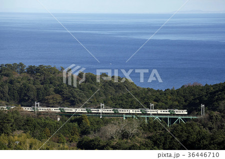 185系踊り子と伊豆の海。2016/1/10 36446710