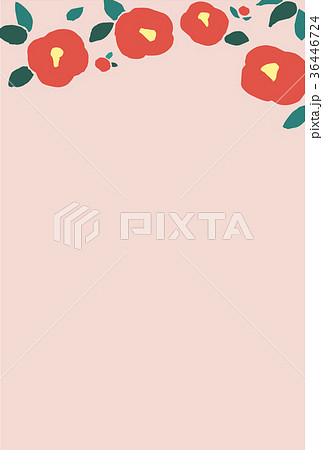椿の花背景 椿の花背景 36446724