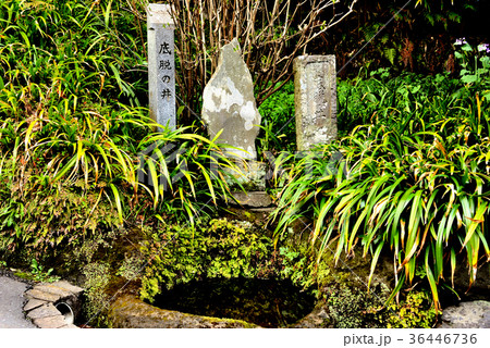 海蔵寺門前の底抜の井 36446736