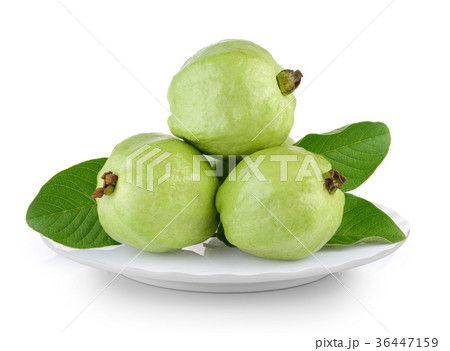 guava fruit in white plate on white background guava fruit in white plate on white background 36447159