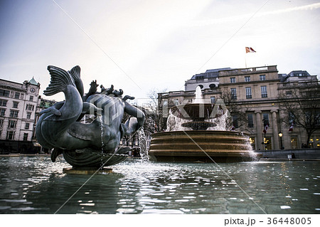 トラファルガー広場 トラファルガー広場 36448005