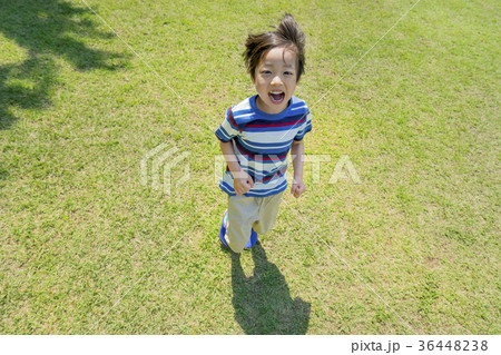 新緑の公園で遊ぶ男の子 36448238