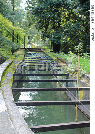 南禅寺水路閣 36448369