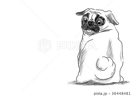 年賀状 パグのイラスト素材
