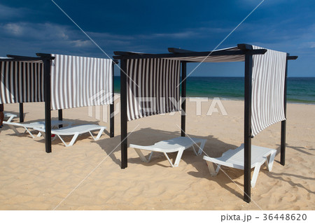 Rows of sun loungers and umbrellas on the beach Rows of sun loungers and umbrellas on the beach 36448620