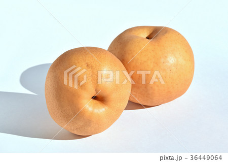 あたご梨 あたご梨 36449064