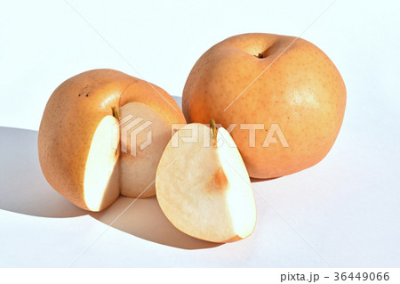 あたご梨 あたご梨 36449066