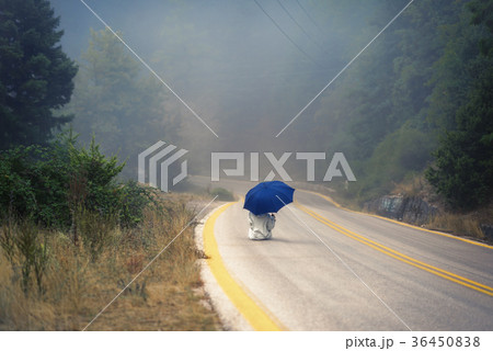 female in a raincoat and umbrella on the road female in a raincoat and umbrella on the road 36450838
