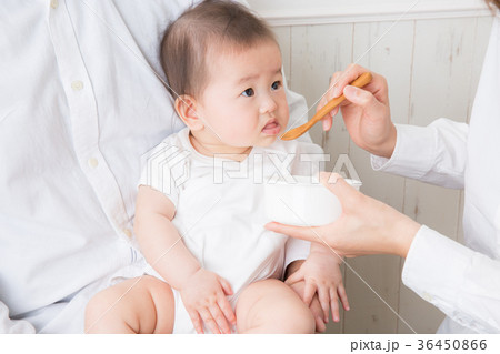 離乳食と赤ちゃん 離乳食と赤ちゃん 36450866