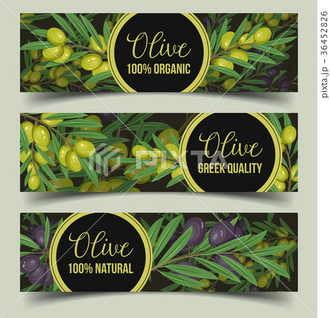 Signs for shop with olive branches with berry Signs for shop with olive branches with berry 36452826