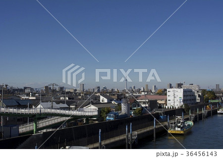 江戸川区東葛西 江戸川区東葛西 36456143