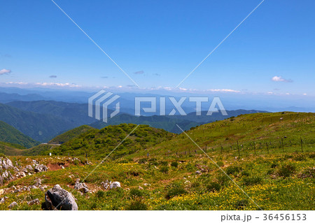 伊吹山からの風景 36456153