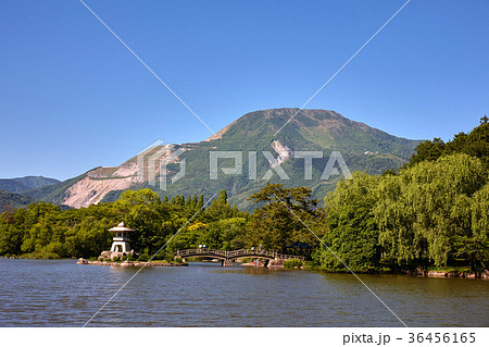 三島池と伊吹山 三島池と伊吹山 36456165