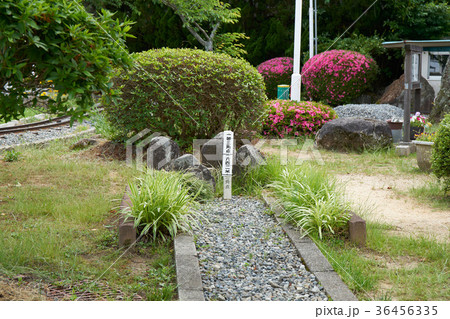 生駒山頂遊園地 36456335