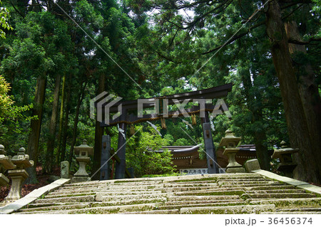 愛宕山登山道の黒門 愛宕山登山道の黒門 36456374
