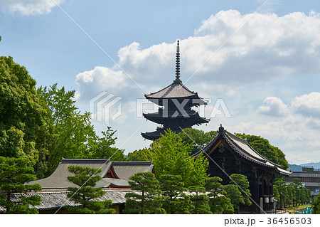 東寺 36456503