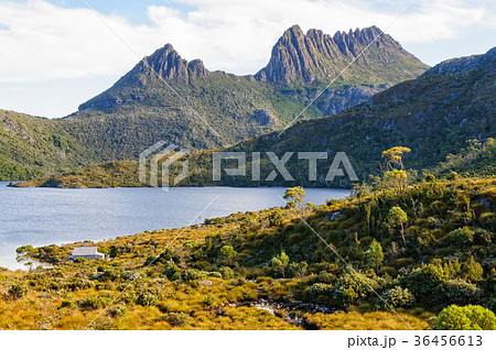 Cradle Mountain and Dove Lake - Tasmania Cradle Mountain and Dove Lake - Tasmania 36456613