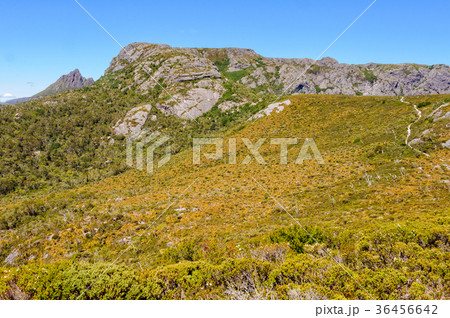 Wombat Peak - Cradle Mountain Wombat Peak - Cradle Mountain 36456642