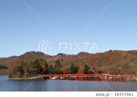 赤城山大沼と赤城神社 36457061