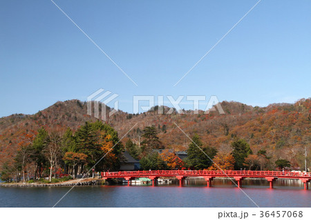 赤城山大沼と赤城神社 36457068
