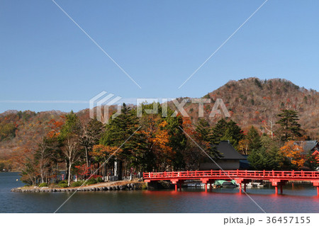 赤城山大沼と赤城神社 36457155