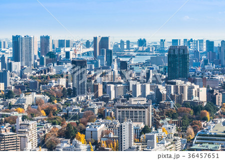 東京ベイエリア 東京ベイエリア 36457651